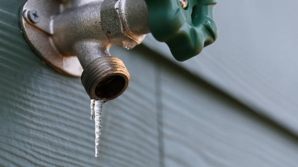Best Drain Cleaning Services  in Bloomington, TX